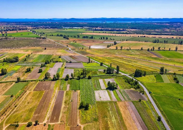 Appartement 1 Bedroom Cozy In