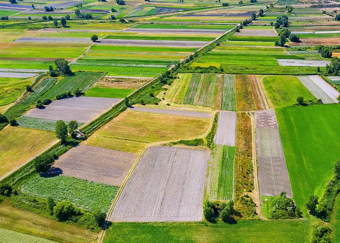 Appartement 1 Bedroom Cozy In